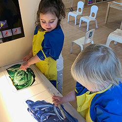 Preschool children exploring sensory play and hands-on learning
